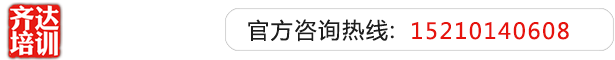 东北老女人的大黑屄齐达艺考文化课-艺术生文化课,艺术类文化课,艺考生文化课logo